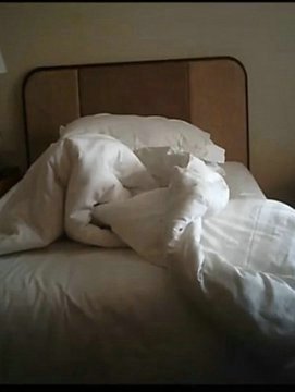 搞了一个身材十分给力销魂的模特美女前凸后翘极品一看就忍不住插进去台湾