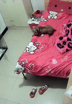 ˮѹ·