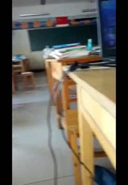 大白天女生在教室里帮男同学吹萧