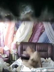 特色酒店偷拍气质女神范美女白领利用中午休息时间和异地情人开房,时间紧美女主动坐上去操,男的连续内射2次!