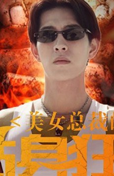 美女总裁的贴身狂龙