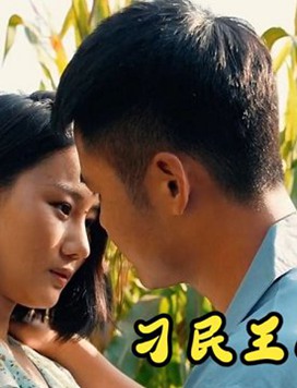 刁民王小二