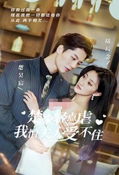 楚少轻点虐,我怕夫人受不住